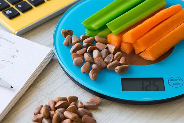 کالری انواع غذا چیست