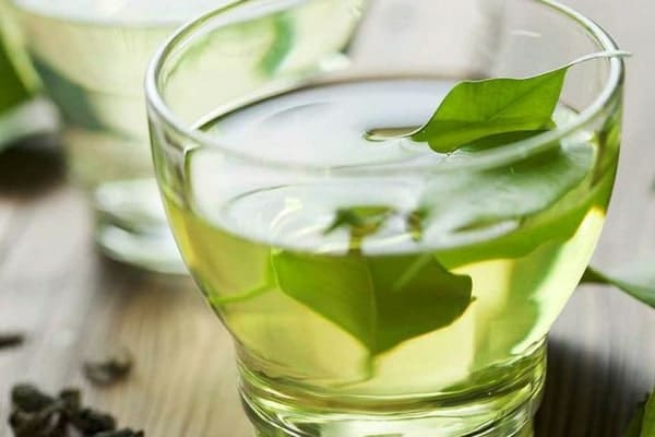 چای سبز یکی از نوشیدنی لاغری 