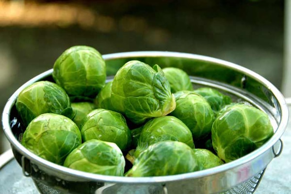 بروکسل کم کالری ترین سبزی